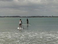 Surfboards, Wetsuits & Fishing