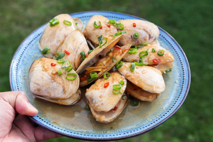 Try the Tuatua Twist