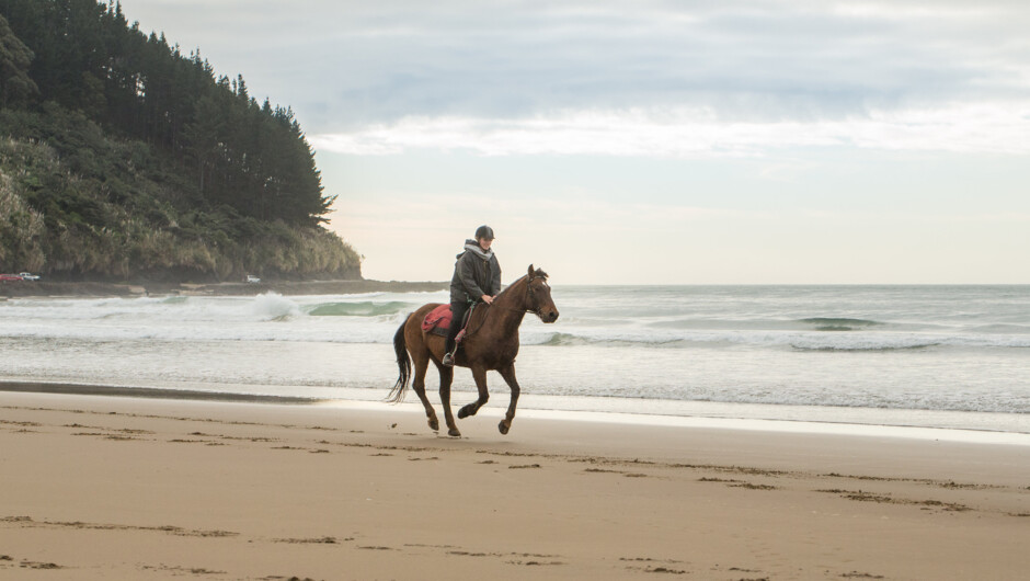 Horse Trekking Along Ninety Mile Beach